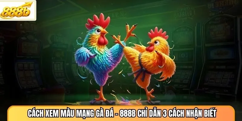 Cách Xem Màu Mạng Gà Đá - 888B Chỉ Dẫn 3 Cách Nhận Biết