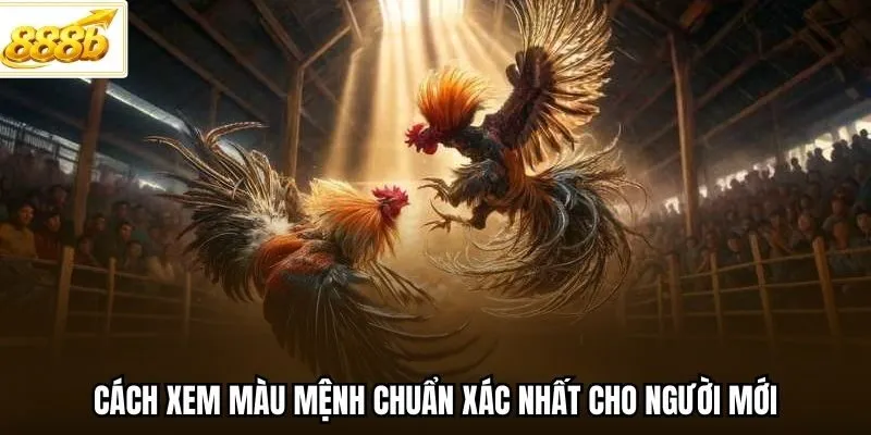 Cách xem màu mệnh chuẩn xác nhất cho người mới