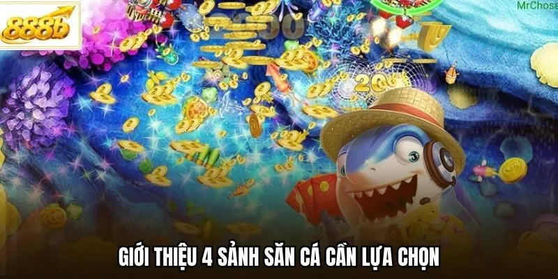 Giới thiệu 4 sảnh săn cá cần lựa chọn