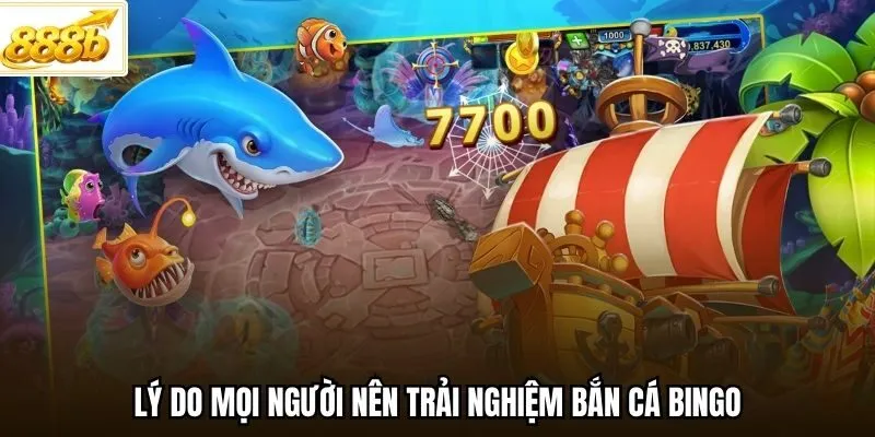 Lý do mọi người nên trải nghiệm bắn cá bingo