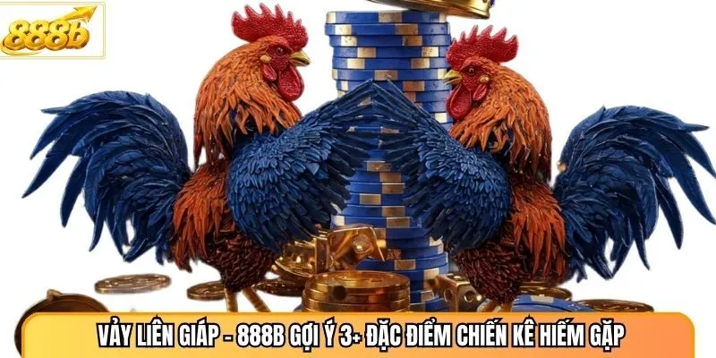 Vảy Liên Giáp - 888B Gợi Ý 3+ Đặc Điểm Chiến Kê Hiếm Gặp